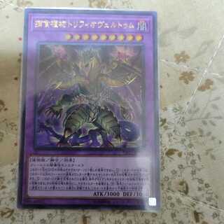 捕食植物トリフィオヴェルトゥム ウルトラレア