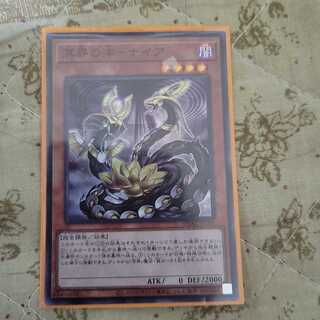 溟界の滓-ナイア