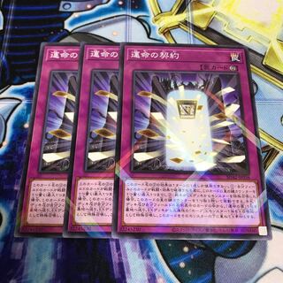 運命の契約　ノーマルパラレル　Hulu 2389