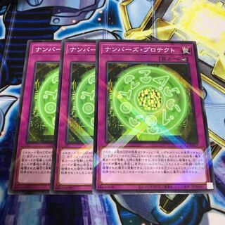 ナンバーズ・プロテクト　Hulu 2390