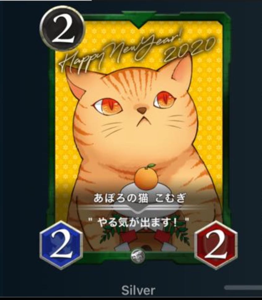 あぽろの猫　こむぎ　2枚セット