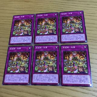 海造賊-祝宴 ノーマル　6枚セット