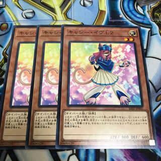 キャシー・イヴL2 ノーマル　Hulu 2439