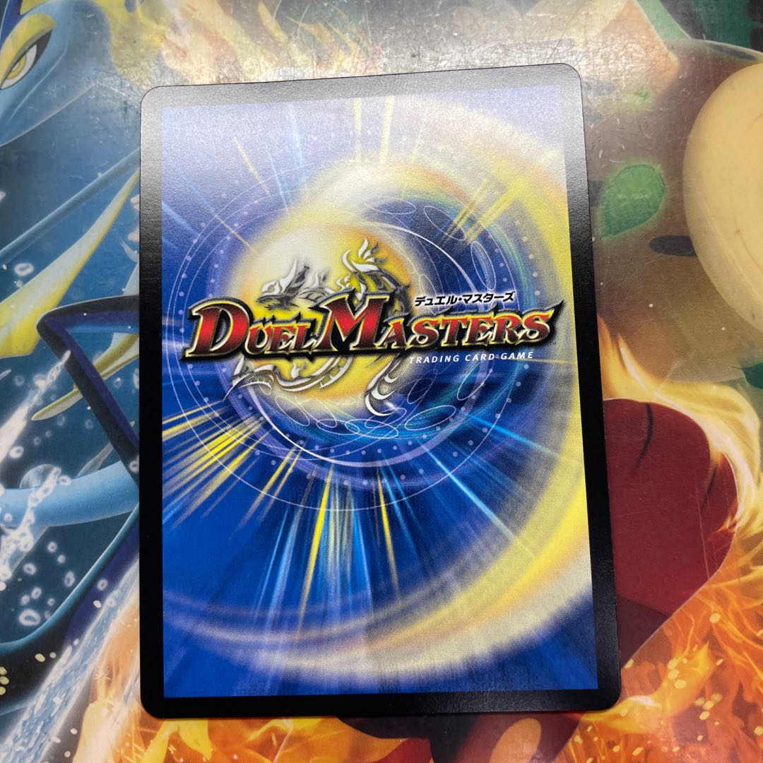 最安値　龍風混成 ザーディクリカ