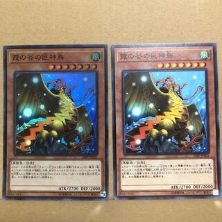 Mist Valley Apex Avian