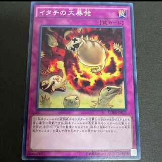 イタチの大暴発　１枚