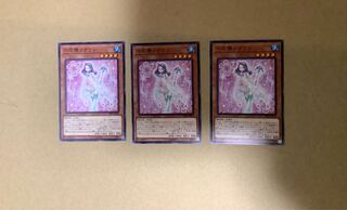 Cyclamen the Rikka Fairy Normal