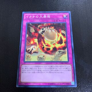 イタチの大暴発 ノーマル