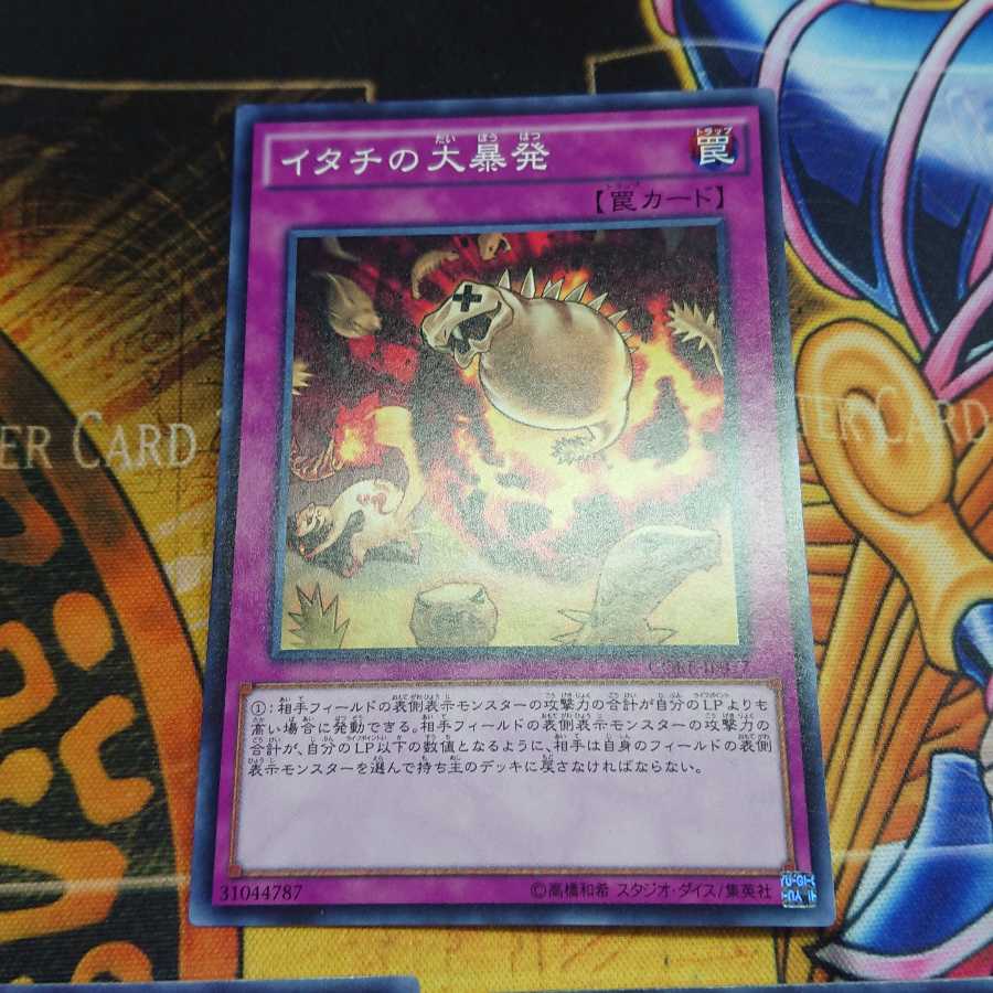 イタチの大暴発 ノーマル 三枚セット