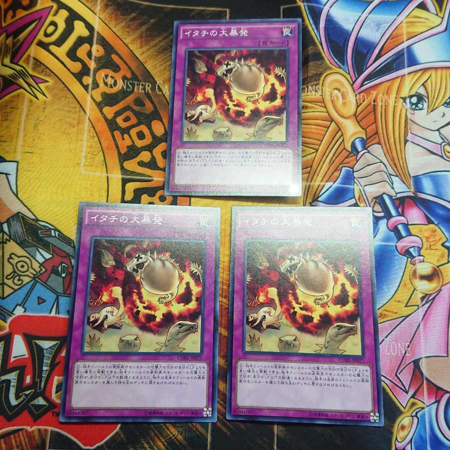 イタチの大暴発 ノーマル 三枚セット