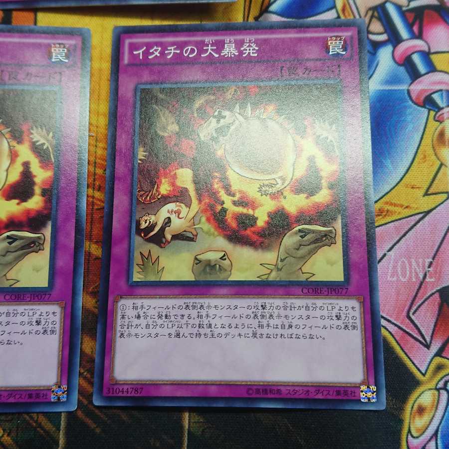 イタチの大暴発 ノーマル 三枚セット
