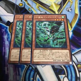 守護竜アンドレイク レア　Hulu 2465