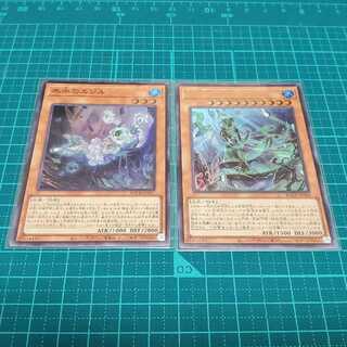 氷水のエジル+氷水帝コスモクロア