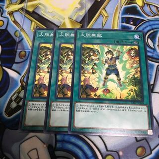 大胆無敵 ノーマル　Hulu 2483