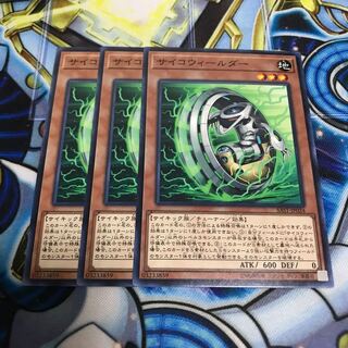 サイコウィールダー ノーマル　Hulu 2493