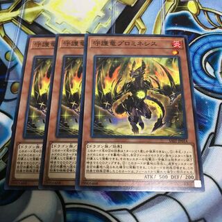 守護竜プロミネシス ノーマル　Hulu 2497