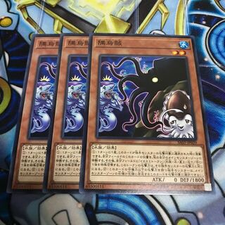 隅烏賊 ノーマル　Hulu 2502