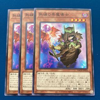 熟練の栗魔導士 ノーマル
