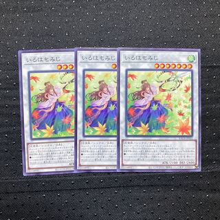 Iroha Maple 3 sheets