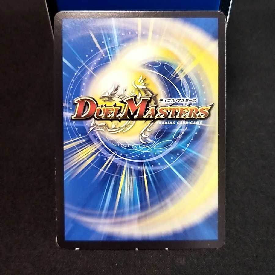 ジーク・ナハトファルター 2枚