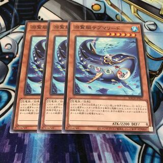 游覧艇サブマリード ノーマル　Hulu 2551