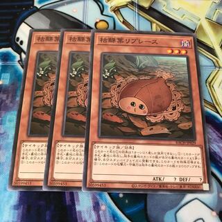 枯鰈葉リプレース ノーマル　Hulu 2566