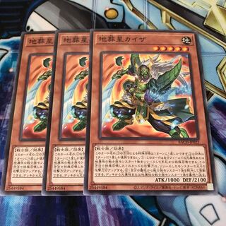 地葬星カイザ ノーマル　Hulu 2579