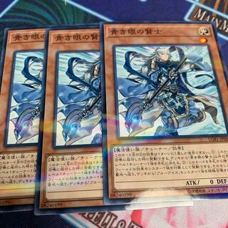 青き眼の賢士 パラレル ノーマル　専用