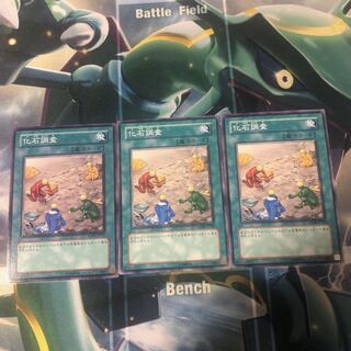 化石調査3枚 ANPR-JP0069