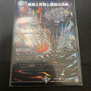 最安値　パーフェクトダークネス　シク