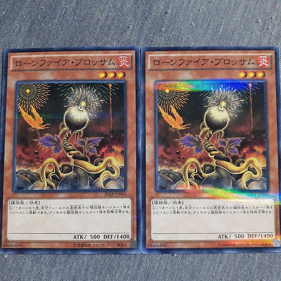 ローンファイア・ブロッサム