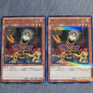 ローンファイア・ブロッサム