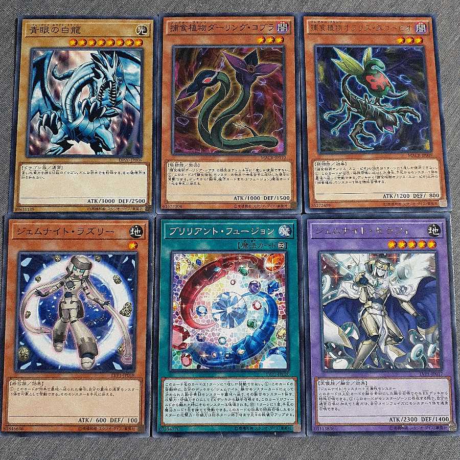 Plant Seraphy Business Trip Set