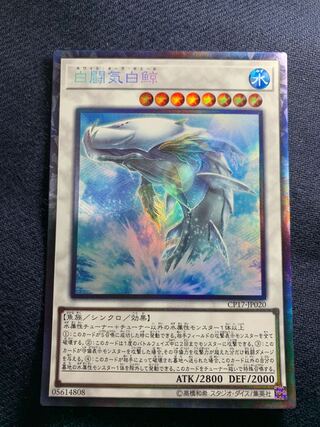 White Aura Dolphin Collector's Rare