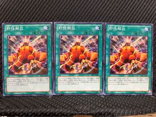 Popotan] Yu-Gi-Oh! 7736 Wild Nature's Release 3 Normal