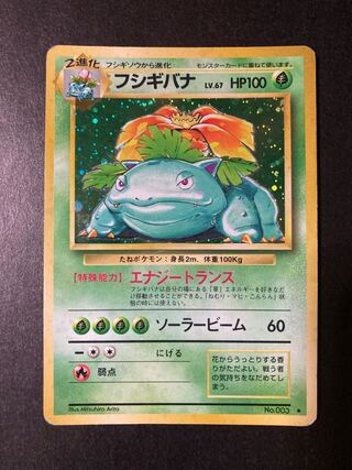 Venusaur, old back, marked.