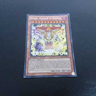 C350 English Not available for purchase 1枚