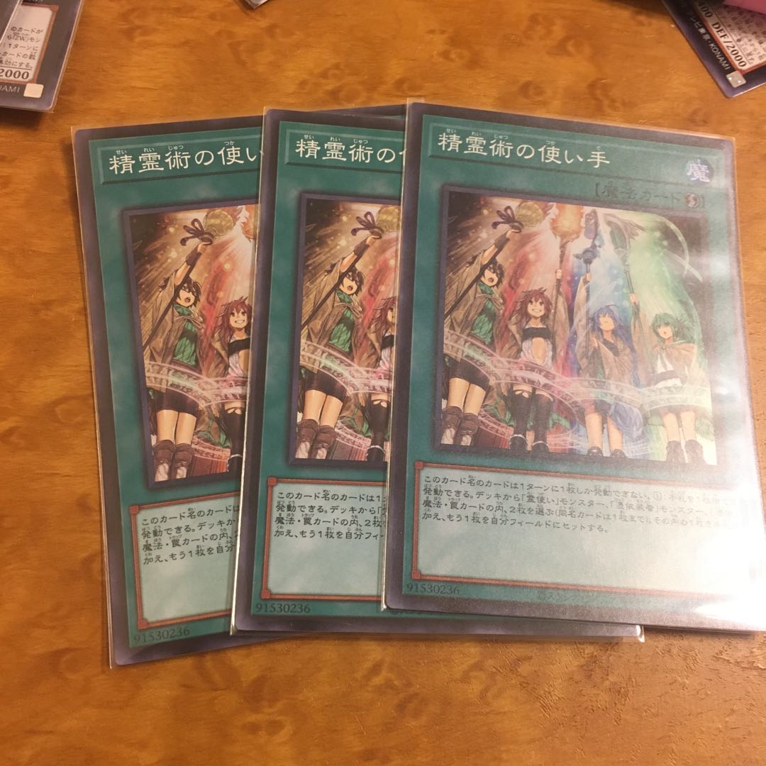 精霊術の使い手