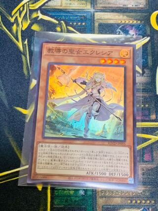 遊戯王　教導の聖女エクレシア　エクレシア　スーパー