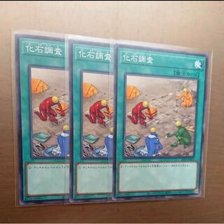 最新3枚セット　化石調査　ダイノルフィア