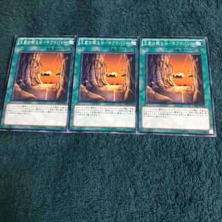 【もふもふ】王家の眠る谷-ネクロバレー