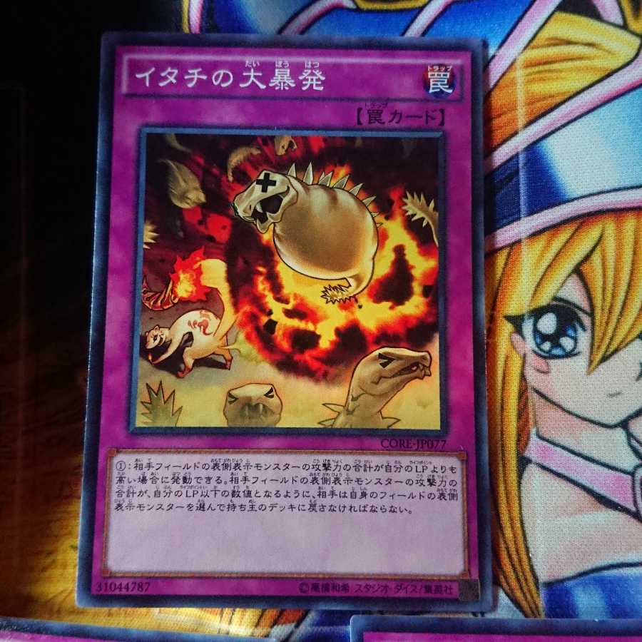 イタチの大暴発 ノーマル 三枚セット