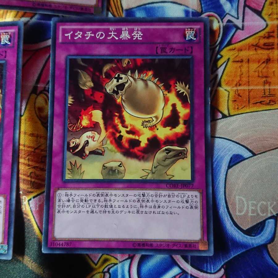 イタチの大暴発 ノーマル 三枚セット