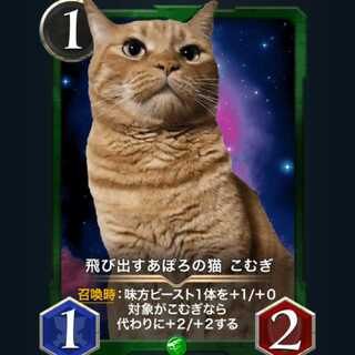 2枚セット 飛び出すあぽろの猫 こむぎ