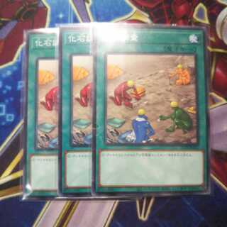 化石調査 ノーマル 3枚