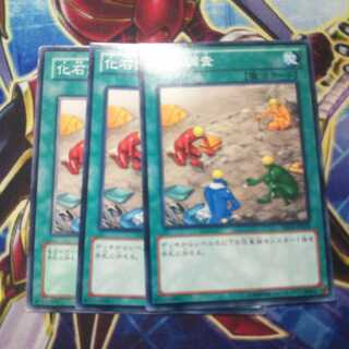 化石調査 ノーマル 3枚