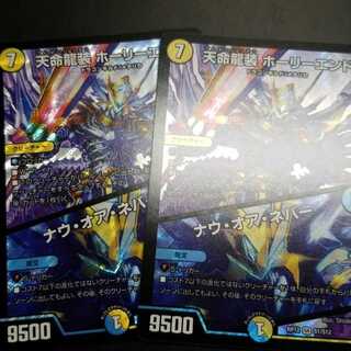 デュエルマスターズ
天命龍装ホーリーエンド
ナウオアネバー