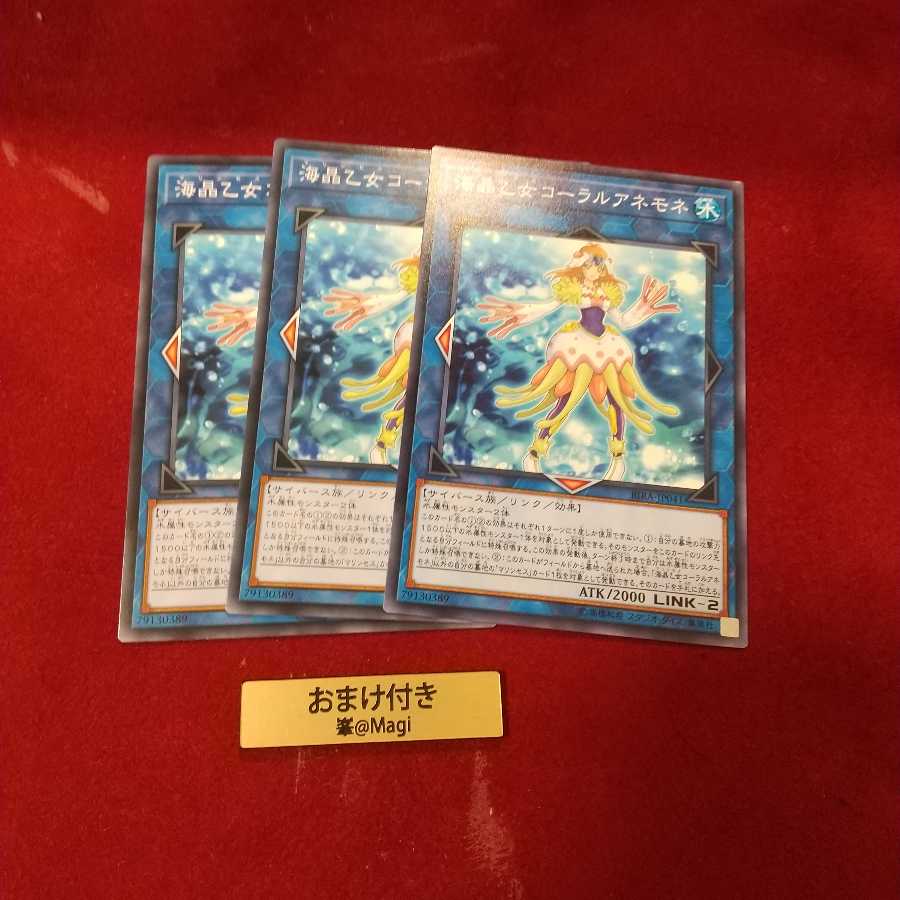 海晶乙女コーラルアネモネ ノーマル