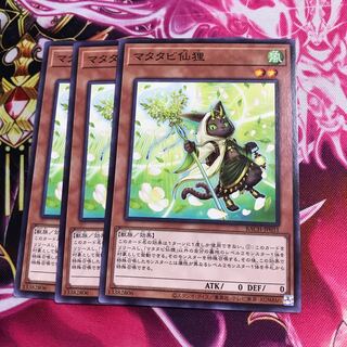 マタタビ仙狸 ノーマル