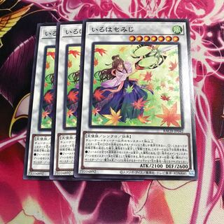 いろはもみじ ノーマル